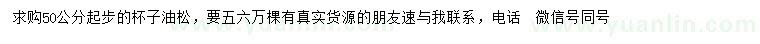 求購(gòu)50公分起步油松