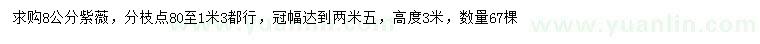 求購8公分紫薇
