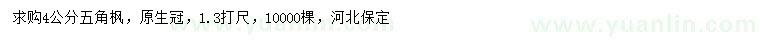 求購1.3米量4公分五角楓