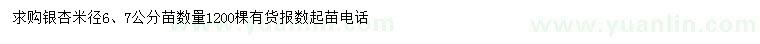 求購米徑6、7公分銀杏