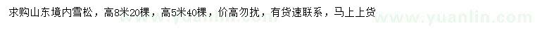 求購5、8米雪松