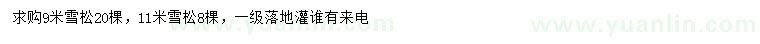 求購9、11米雪松