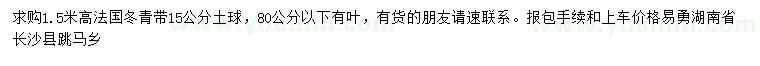 求購高1.5米法國冬青