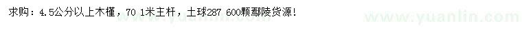 求購4.5公分以上木槿