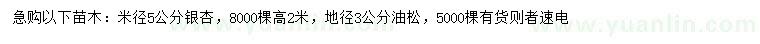 求購米徑5公分銀杏、地徑3公分油松