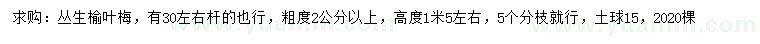 求購粗2公分以上叢生榆葉梅