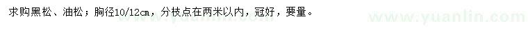 求購胸徑10、12公分黑松、油松