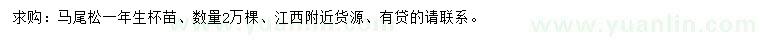 求購(gòu)馬尾松杯苗