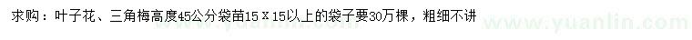 求購高45公分葉子花