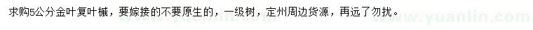 求購(gòu)5公分金葉復(fù)葉槭