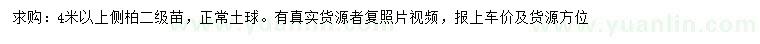 求購(gòu)4米以上側(cè)柏