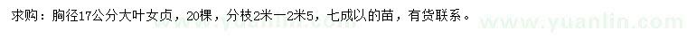 求購(gòu)胸徑17公分大葉女貞