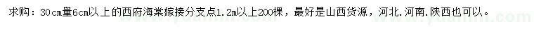 求購30公分量6公分西府海棠