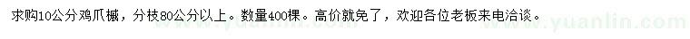 求購10公分雞爪槭
