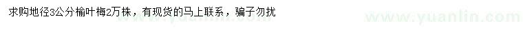 求購(gòu)地徑3公分榆葉梅
