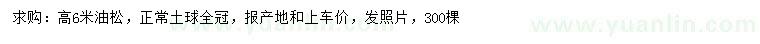 求購高6米油松