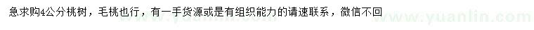 求購4公分桃樹