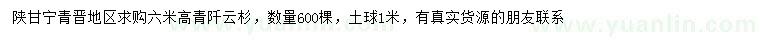 求購高6米青阡云杉