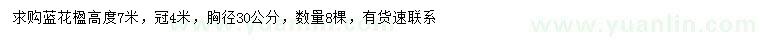 求購胸徑30公分藍花楹