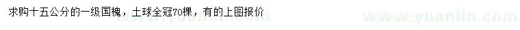 求購(gòu)15公分國(guó)槐