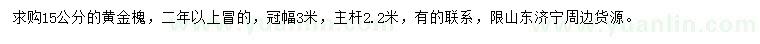 求購15公分黃金槐
