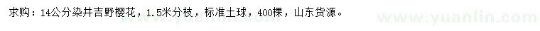求購14公分染井吉野櫻花