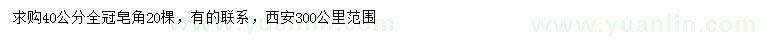 求購(gòu)40公分皂角