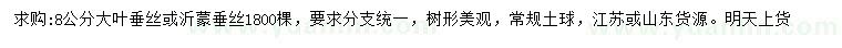 求購8公分大葉垂絲、沂蒙垂絲
