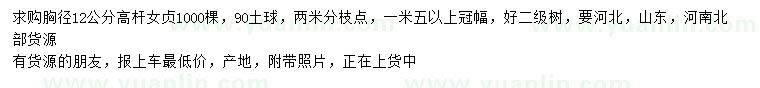 求購胸徑12公分高桿女貞