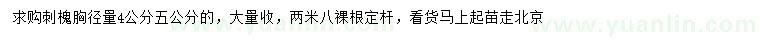 求購胸徑量4、5公分刺槐
