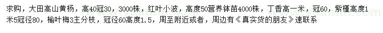 求購大田高山黃楊、紅葉小檗、丁香等