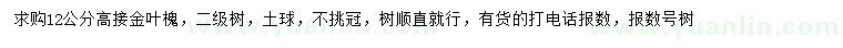 求購12公分高接金葉槐