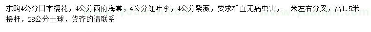 求購日本櫻花、西府海棠、紅葉李等