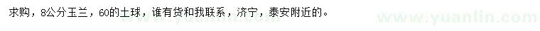 求購8公分玉蘭