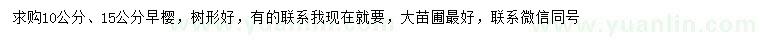 求購10、15公分早櫻