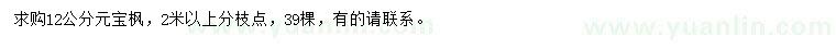 求購12公分元寶楓