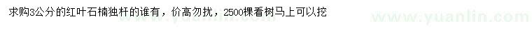求購3公分紅葉石楠