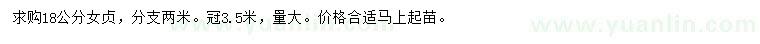 求購18公分女貞