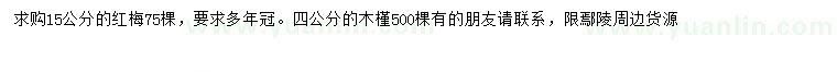 求購15公分紅梅、4公分木槿