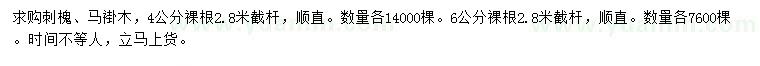 求購(gòu)4、6公分刺槐、馬褂木
