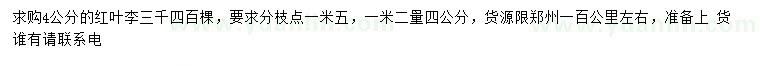 求購(gòu)1.2米量4公分紅葉李