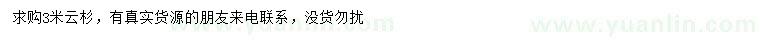 求購3米云杉
