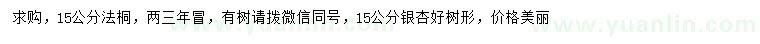求購15公分法桐、銀杏