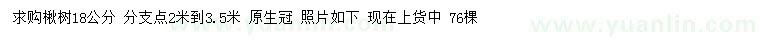求購(gòu)18公分楸樹