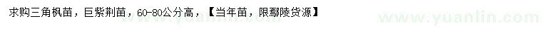 求購高60-80公分三角楓苗、巨紫荊苗