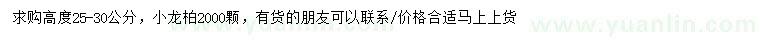 求購(gòu)高25-30公分小龍柏
