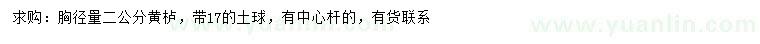 求購胸徑量2公分黃櫨