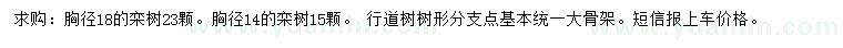 求購(gòu)胸徑14、18公分欒樹