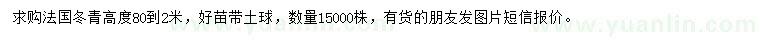 求購高80-200公分法國冬青