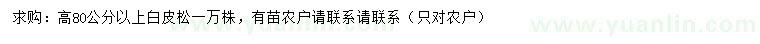 求購(gòu)高80公分以上白皮松